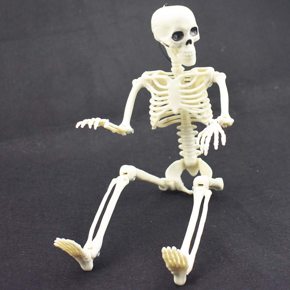 XONOR 16” Posable Halloween Skeleton- Full Body Halloween Skeleton with Movable Joints for Haunted House Props Decorations (10pcs)