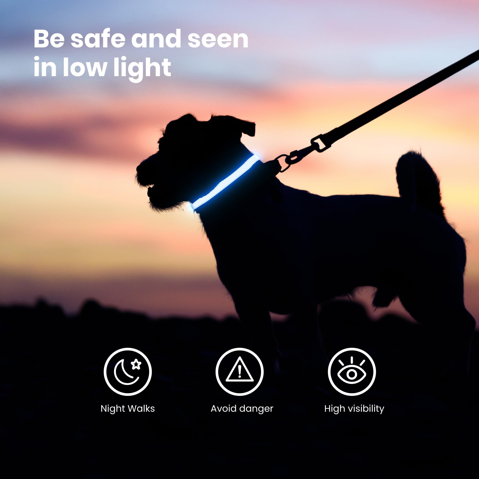 Fun Pets LED Dog Collar in Blue - USB Rechargeable Pet Safety Collar - Great Visibility & Improved Safety (30cm - 40cm / 11.8" - 15.7")