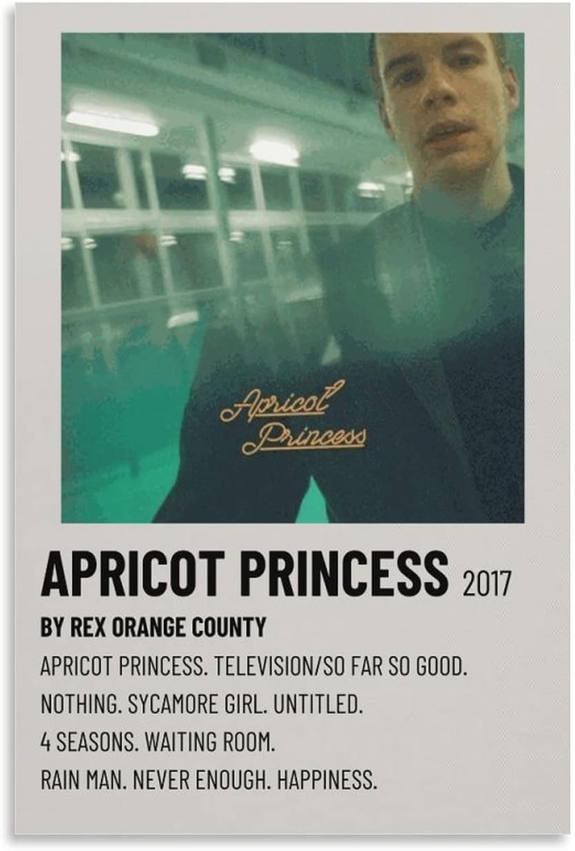 Amazon.com: SSJS Rex Orange County Poster Apricot Princess Album Poster ...