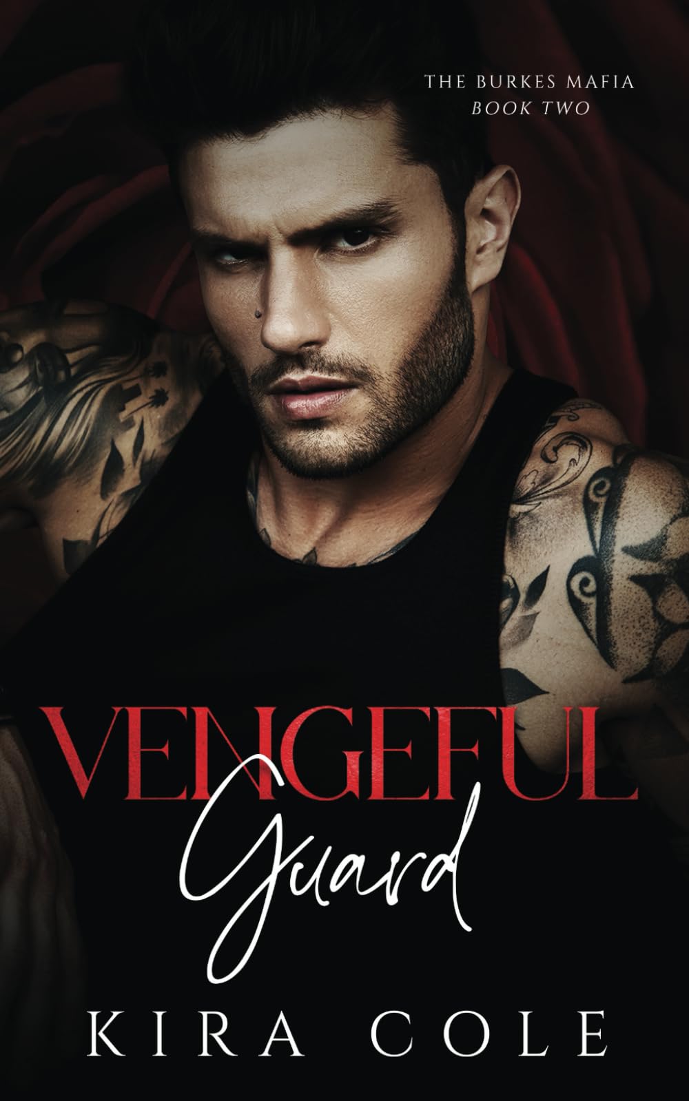 Vengeful Guard: A Brother's Best Friend Mafia Romance (The Burkes Mafia)