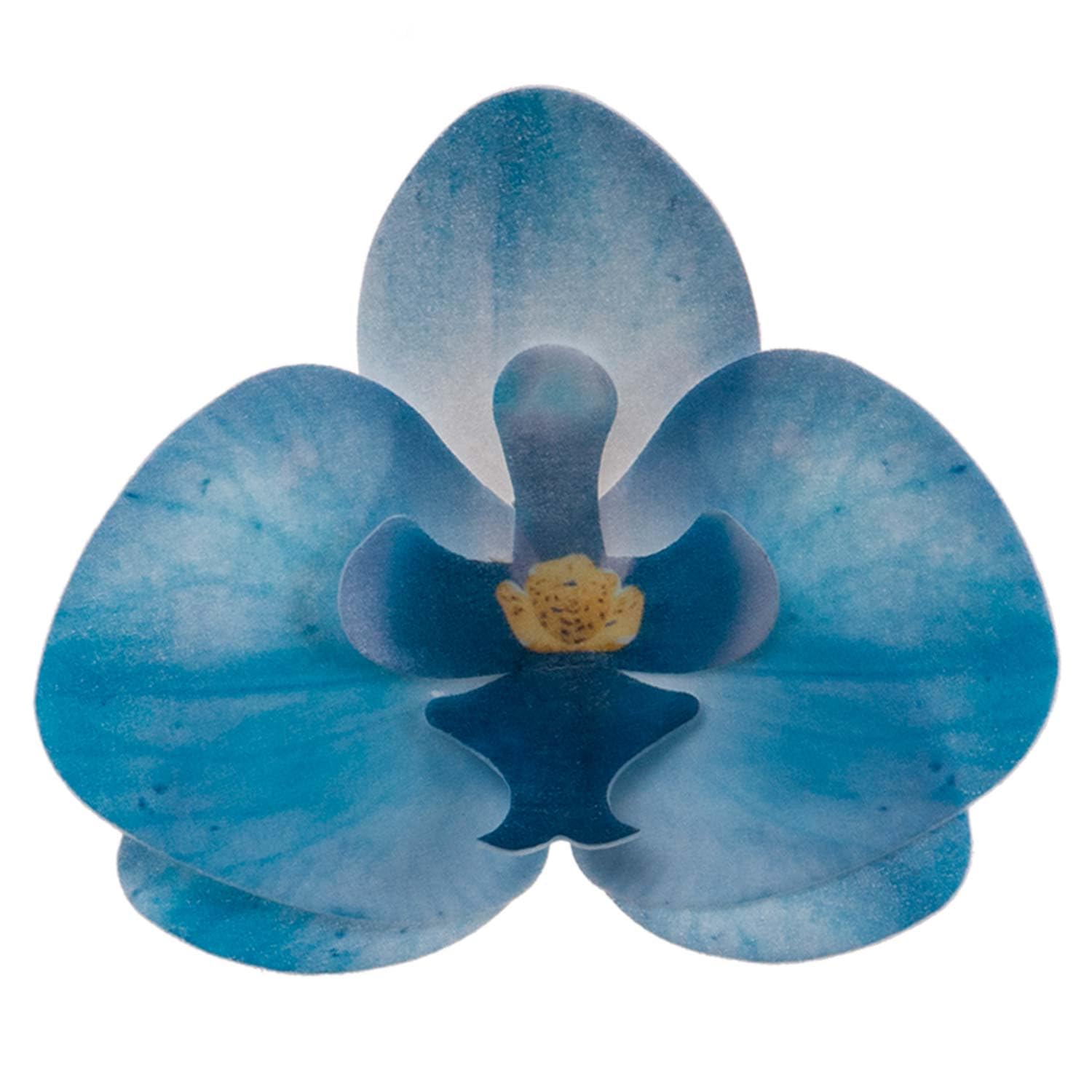 dekora – Essbare Blumen für Torten, Esspapier-Tortendeko, 10 blaue Orchideen 8,5 x 7,5 cm, ohne zucker, glutenfrei, laktosefrei, Tortendeko essbar für Hochzeit, Geburtstag und Taufe