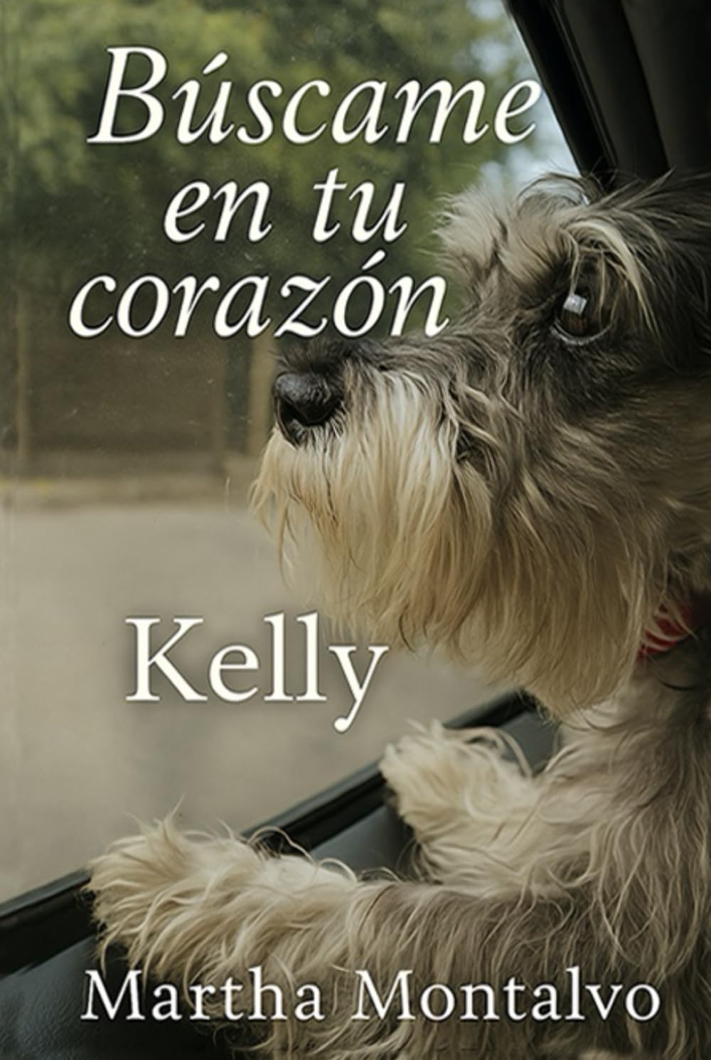 Búscame en tu corazón: Kelly