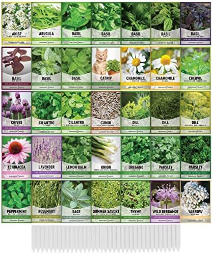 35 Herb Seeds for Planting Varieties Heirloom Non-GMO Seeds Indoors, Hydroponics, Outdoors - Basil, Lavender, Catnip, Cilantro, Oregano, Parsley, Peppermint, Rosemary and More by Gardeners Basics