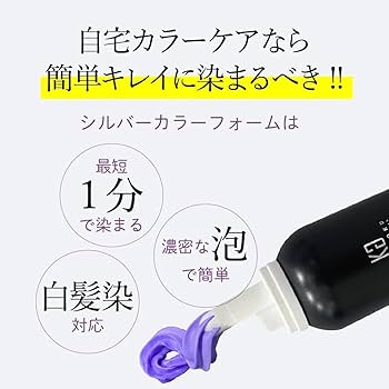 Amazon.co.jp: Kyogoku Kyogoku Silver Color Foam Conditioner