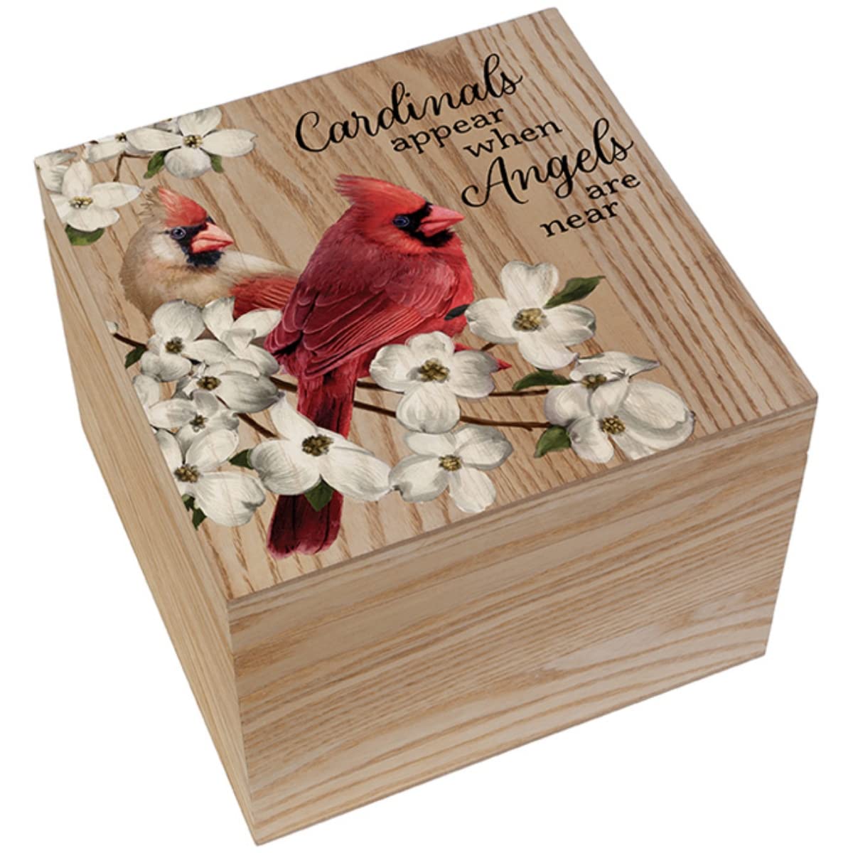 Carson Home 24986 Cardinali appaiono scatola di memoria