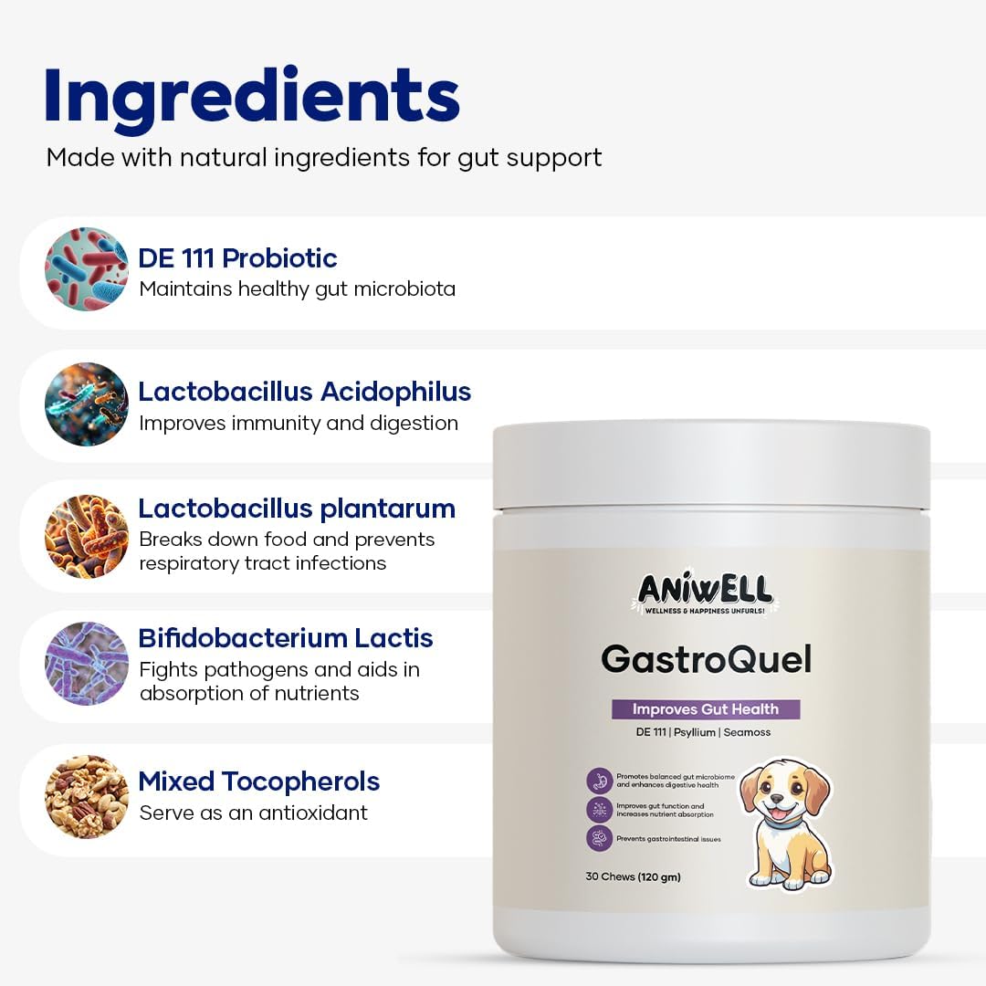 GastroQuel - Probiotic Soft Chews for Dogs with Digestive Enzymes & Fiber - 30 Count | Pack of 3