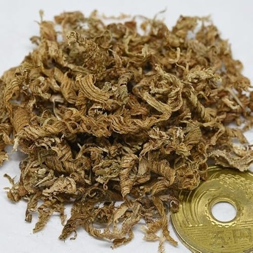 香木 伽羅 栽培」の人気商品一覧 | 安い商品を通販サイトから探す