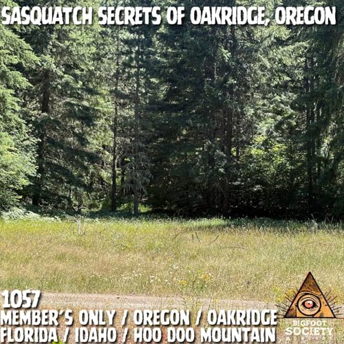 What Happened Seven Miles Up Salmon Creek in Oakridge, Oregon | MEMBERS ONLY PREVIEW