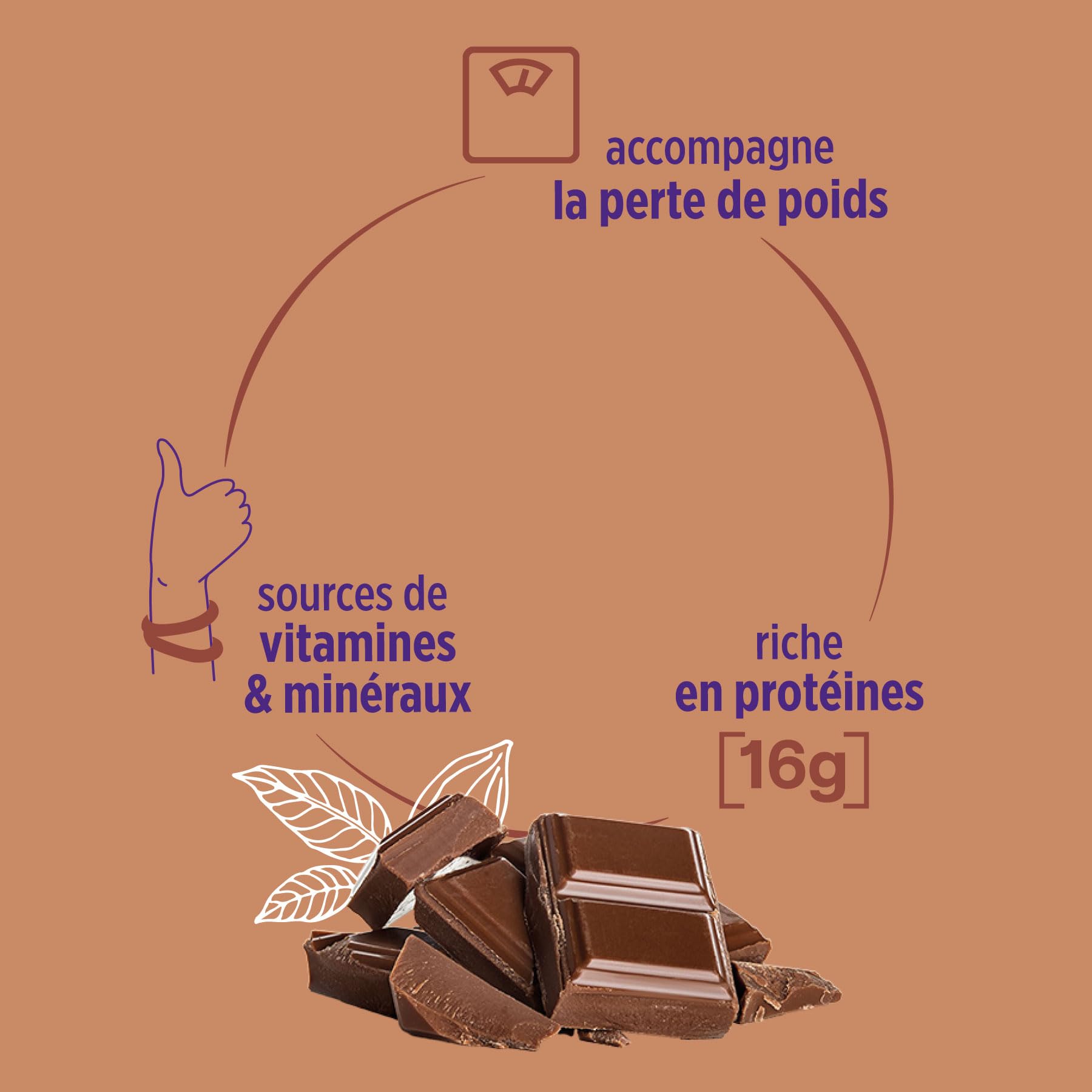 MILICAL Milk-Shake Hyper-Protéiné | 14 portions | Perte de Poids | Faible en Calories (Chocolat)