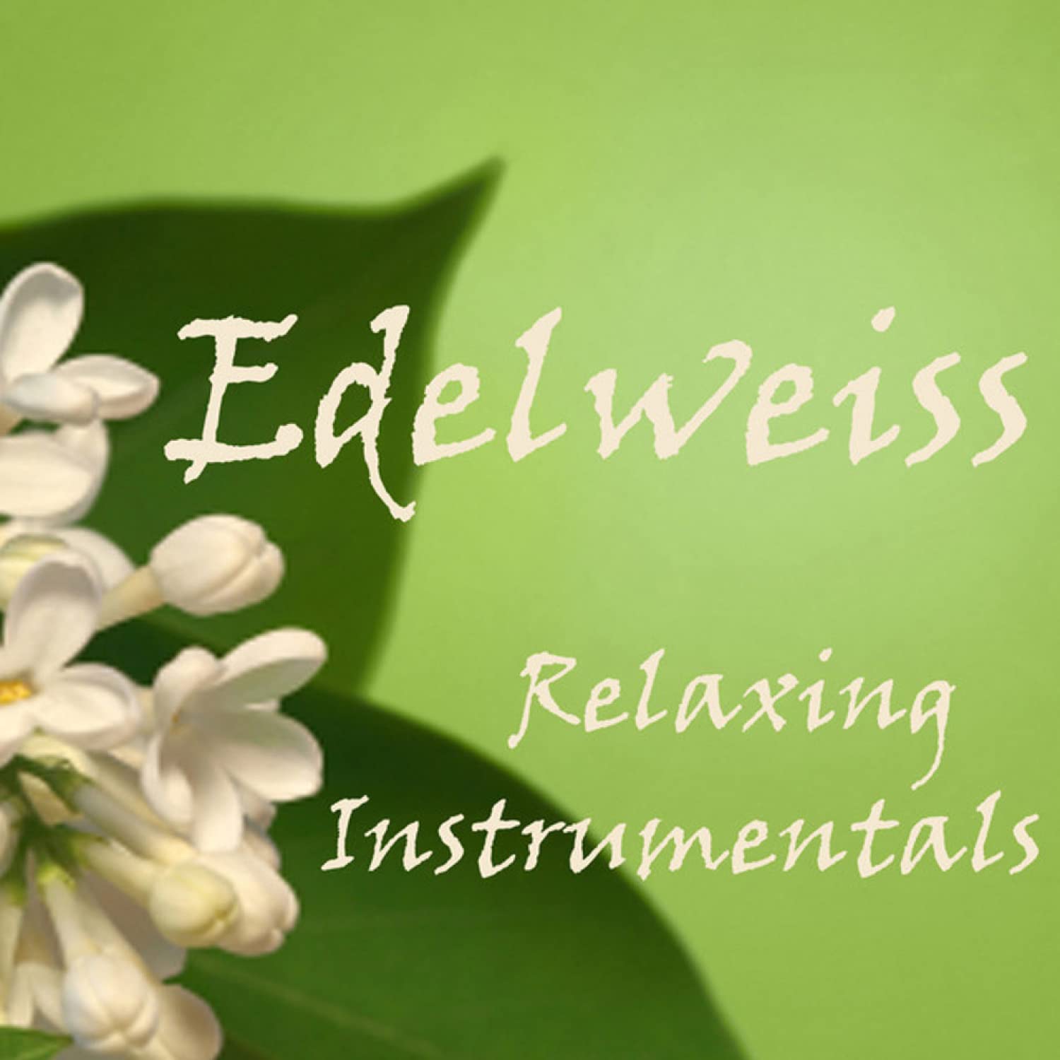 Relaxing Instrumentals