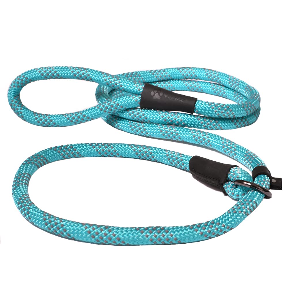 Laisse en corde Max and Neo turquoise de 1,5 m de haute résistance
