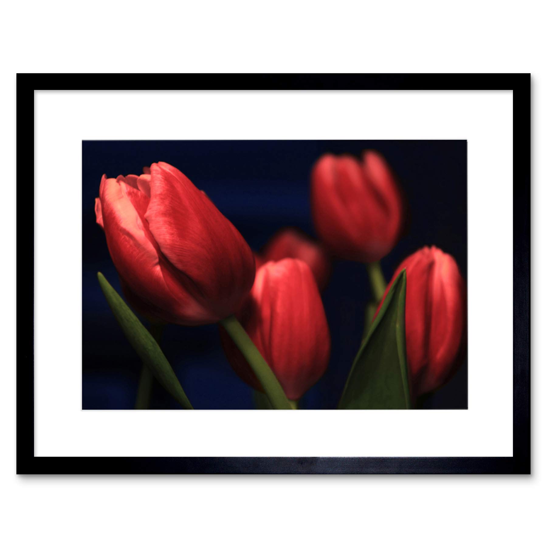 Wee Blue Coo Tulips Red Flowers Bloom Art Framed Wall Art Print
