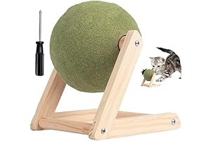 Cat Mint Ball Toy: Interactive Catnip Floor Ball for Playful Kitty Pursuits
