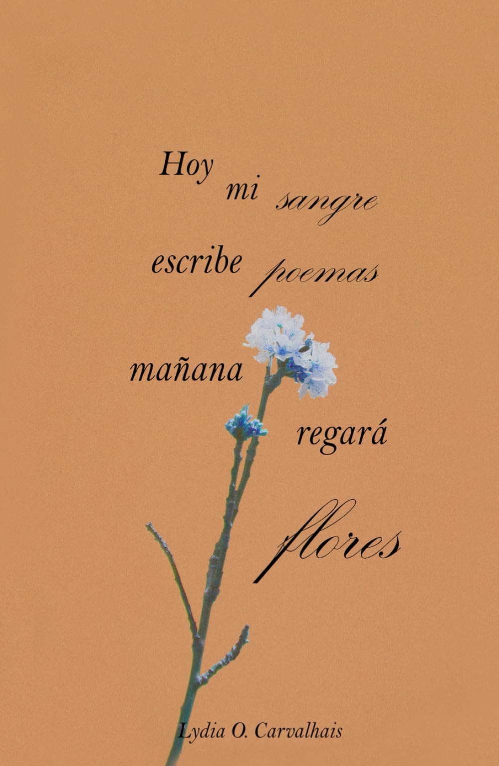 Hoy mi sangre escribe poemas, mañana regará flores