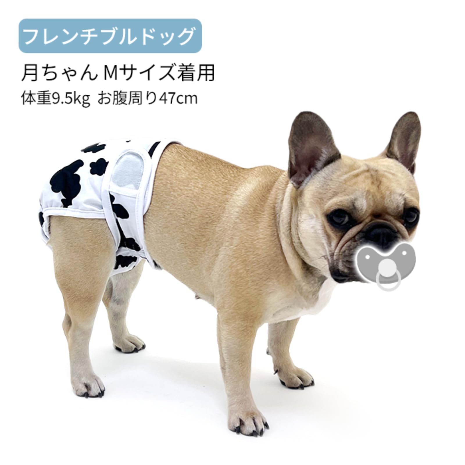 未使用 訳あり 犬用マナーパンツ 3L 確認用です 楽天市場】ズレない 脱げない 漏れない 犬 服 メッシュ 介護服