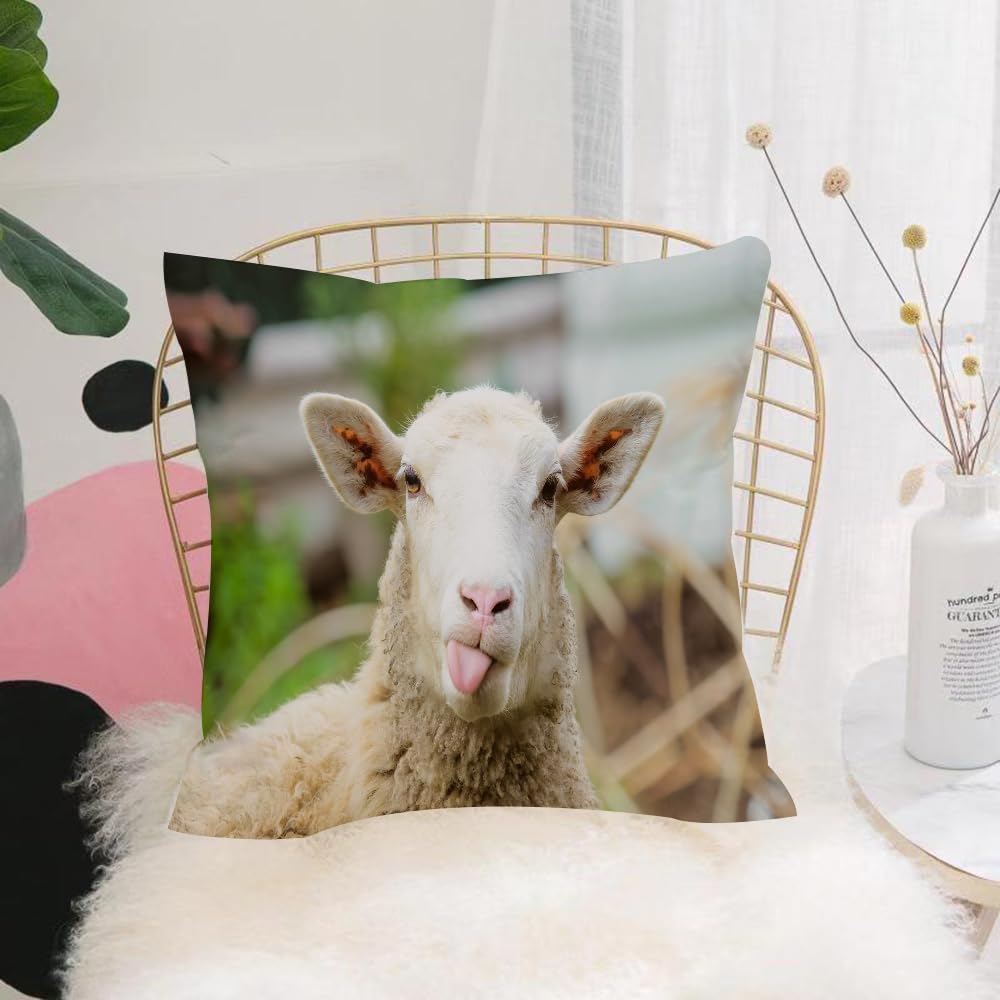 HYOSXW Cushion Cover,Throw Pillow Case Home Decorative for Living Room Bedroom Sofa Chair 16X16 Inch,Funny sheep. Portrait of sheep showing tongue.,Pillowcase 40X40cm