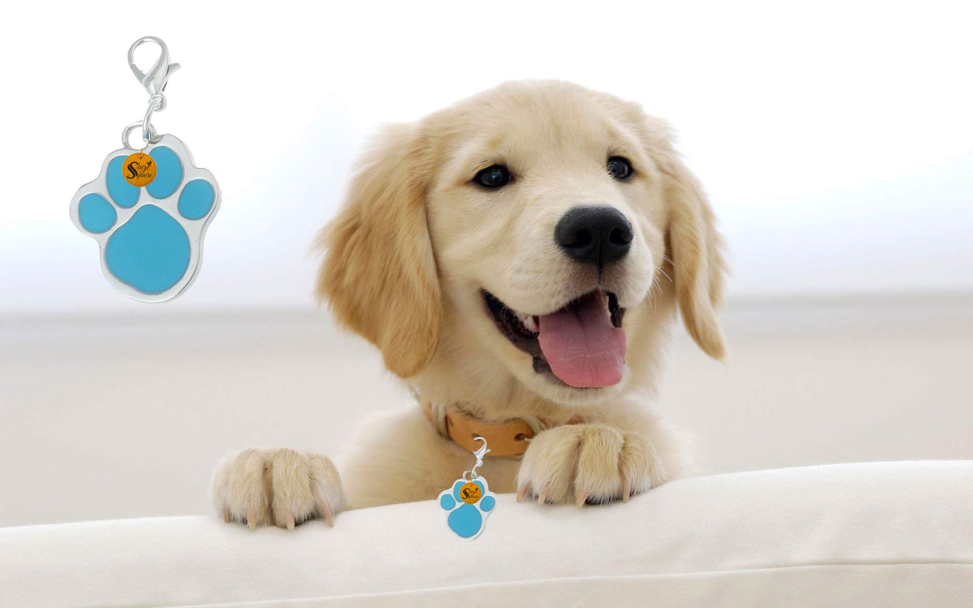 Sage Square Paw Footprint Shape Collar Tag Cum Pendant for Dog/Puppy/Kitten/Cat (Blue) (B079SYFCXR) Amazon Price History, Amazon Price Tracker
