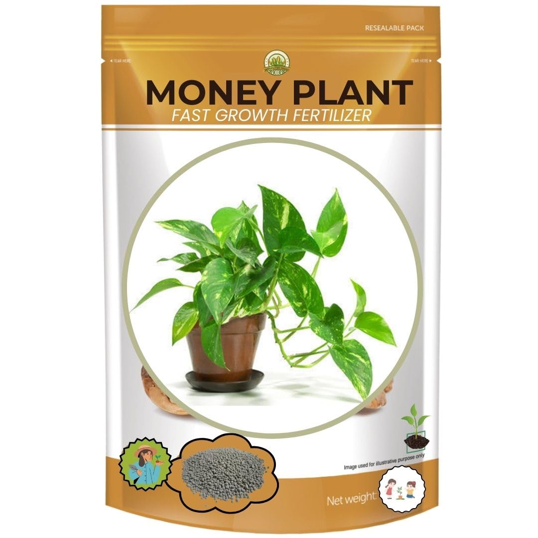 500 GRAMS | MONEY PLANT Food | Plant Nutrient | Plant Fertilizer | Plant Food For Gardening| Enhance Growth