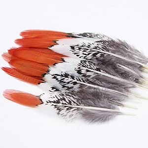 Uposao 100 Stück Fasan Federn 30-35cm - Naturfedern Für Basteln