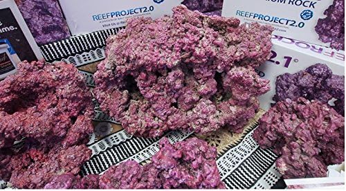 Reef 2.1 Medium to Large Rock, 55 lb