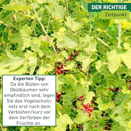 Windhager Vogelschutznetz Rational - HDPE-Gewebe - 5 x 4 m - Maschenweite 15 mm - Obstbaumnetz, Vogelnetz, Teichnetz, Laubnetz - reißfest - UV-stabilisiert