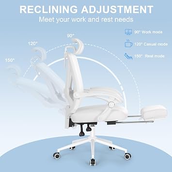 Alternative Office Chair with Footrest, Ergonomic Desk Chair with Adjustable 2D Lumbar Support, High Back Office Chair with Adjustable Headrest, Comfortable Recline Computer Chair