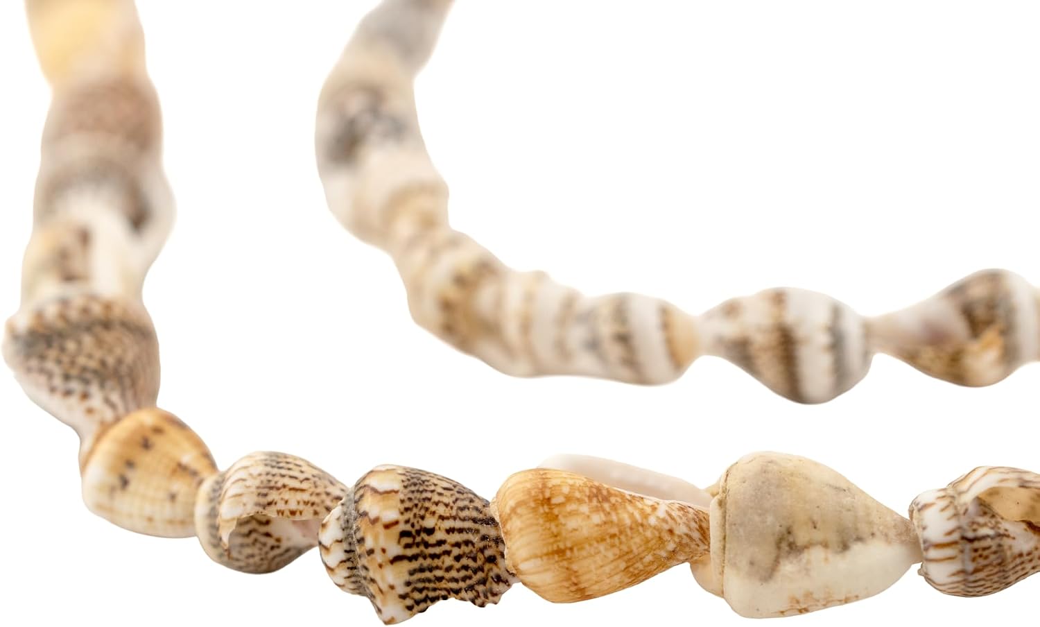 The Bead Chest Sunset Shore Natural Shell Beads: Brown Unusual Shape Genuine Beach-Inspired Full Strand