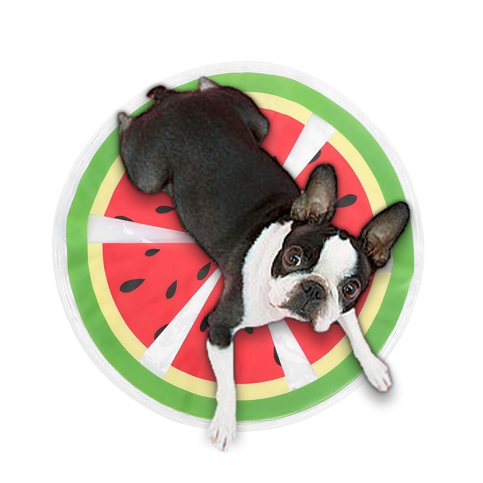 Dog Cooling Mat Cute Water Sensory Pad for Puppy