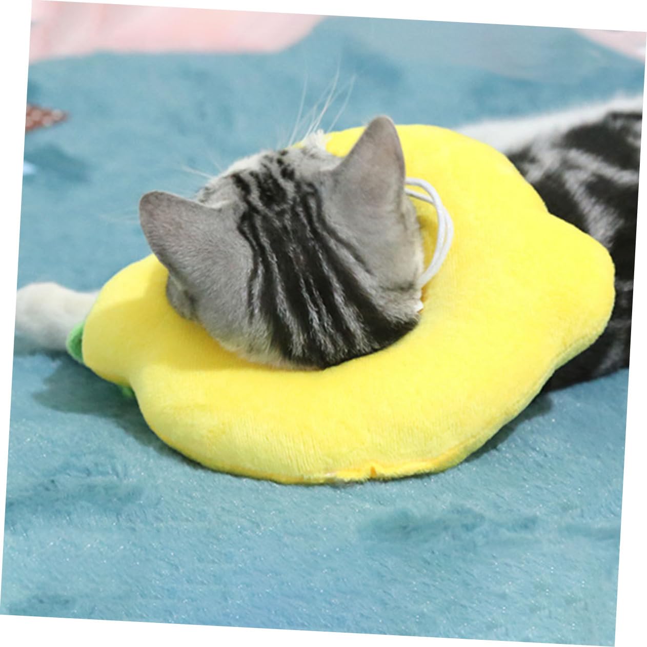 POPETPOP 6 Pz Cerchio Elisabetta collare cane collare strozzo cane Colletto elisabettiano di recupero per animali domestici protettivo per gatti il gatto