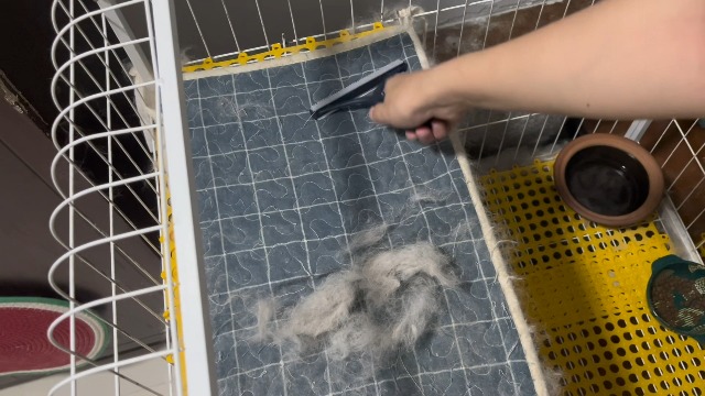 Pet Hair Removal Tool 3 Pack Dog Cat Hair Remover Carpet Scraper Rake Fur Removal Brush Lint Remover Shaver for Car Furniture Couch Green - image 7