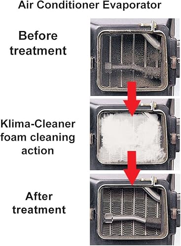 Miniatura 2 de Klima Cleaner profesional Einszett