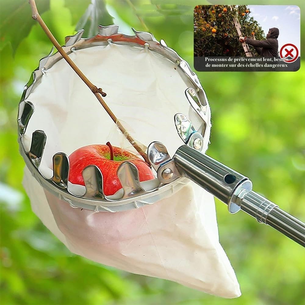 TUIBEIDAMAI Cueille-fruits avec manche télescopique 4,25M, Cueilleur de pommes Diamètre 16 cm, Cueilleur de cerises avec sac en coton, Récolteur de fruits en acier inoxydable pour cerises, Récolteur