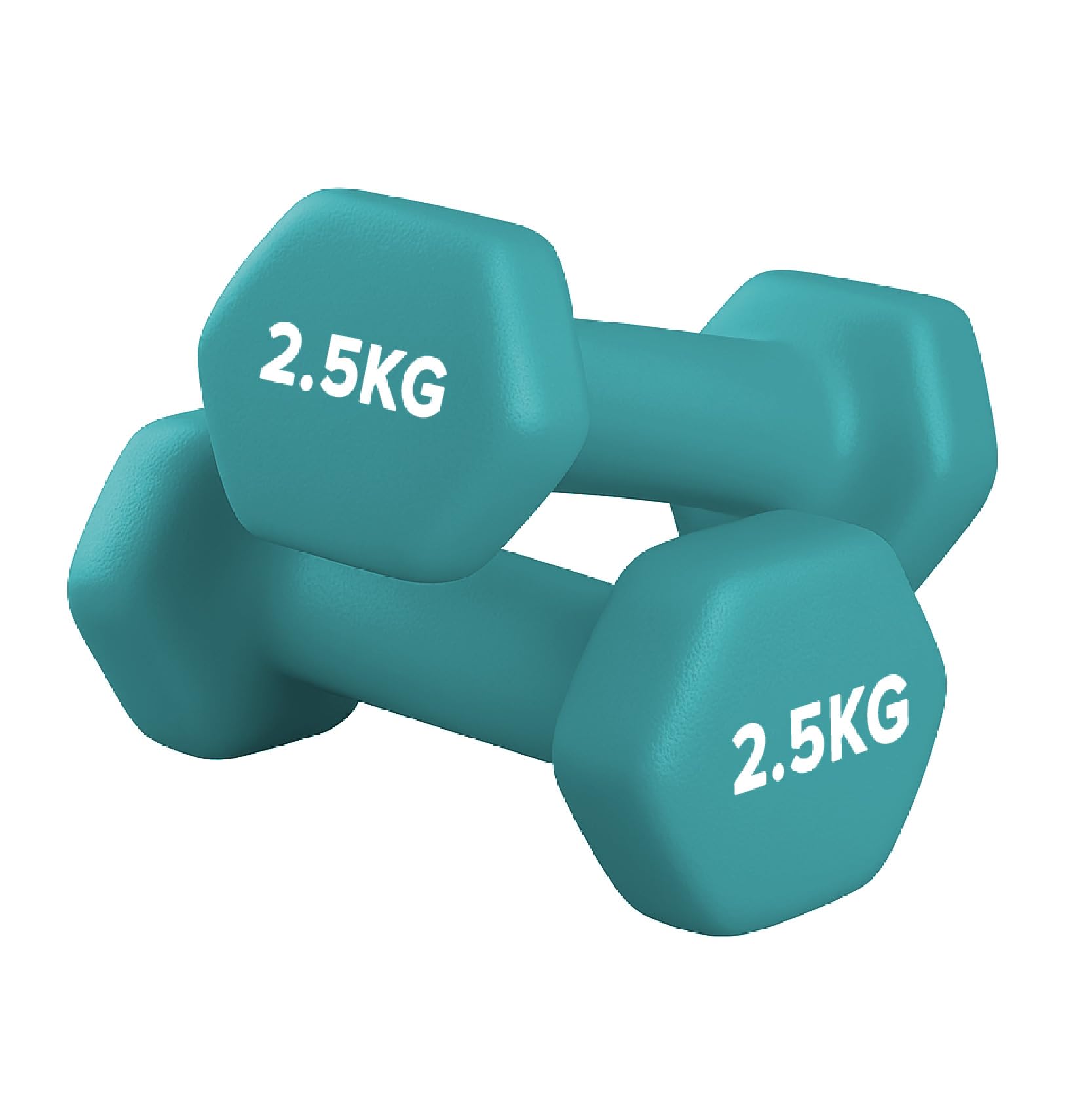 Neoprene Dumbbells Pair for Women Home Gym, Hex No-Roll Design, Non-Slip Grip, Colour Coded Weights Set, 0.5kg to 10kg (2.5kg-Pair-Blue)