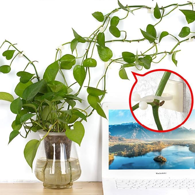 IMIKEYA Pflanzenwand Clips 150 Stück - Unsichtbare Halter Für Kletterpflanzen Innen & Außen