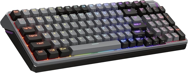 MK770 Wireless Mechanical RGB Gaming Keyboard, Kailh Box V2 Soft Click White Switches, Gasket Structure, Hot-Swappable, Bluetooth|2.4GHz, Tactile 3-Way Dial, QWERTY (MK-770-GKKW1-US)
