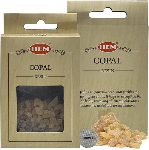 Copal Incense 100% Natural Aromatic Tree Gum Sap Solid Crystals And Steel Mesh Bundle For Burning And Diffusion #TOP8
