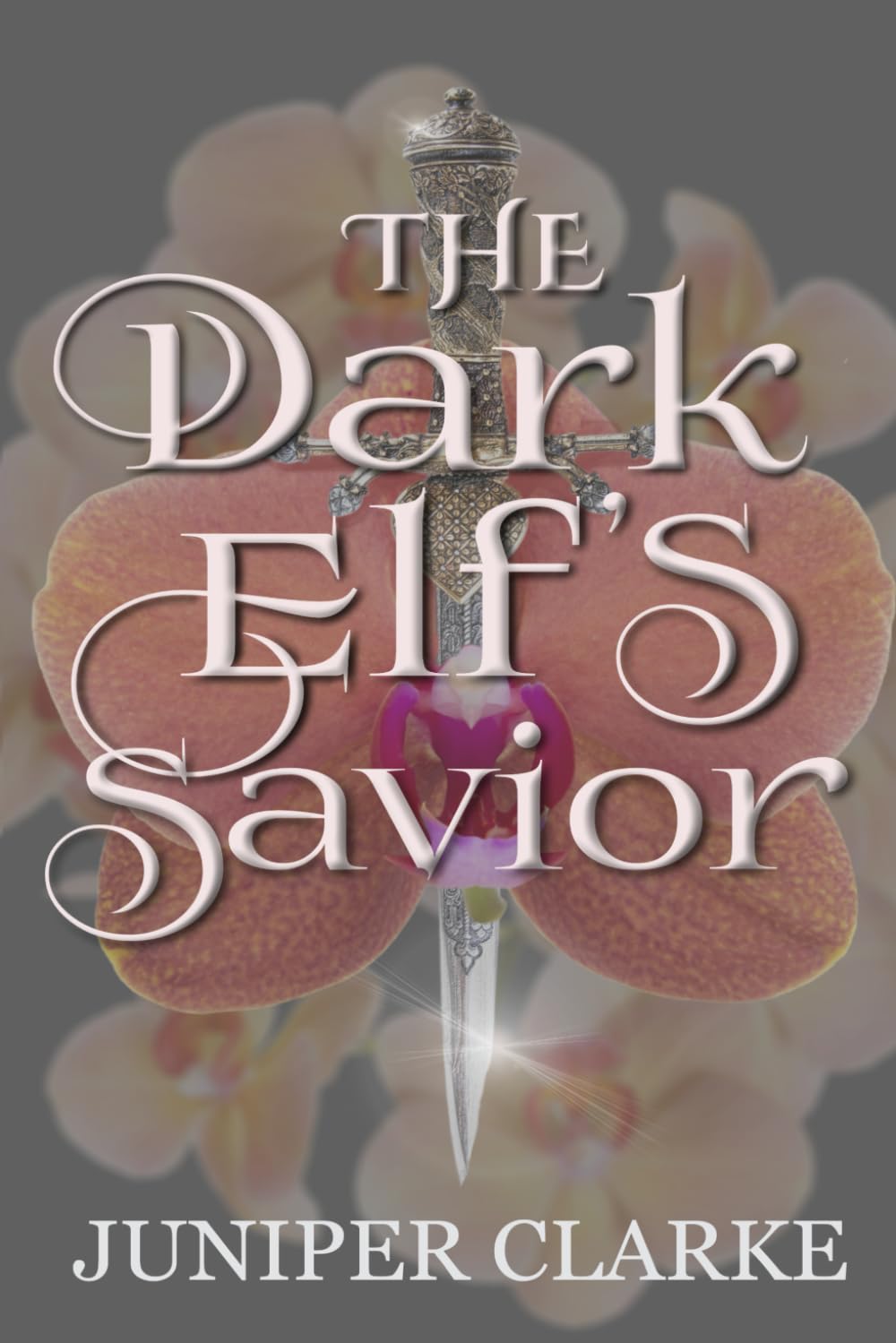 The Dark Elf’s Savior: A Standalone Fantasy Romance (A Land of Gods & Monsters)