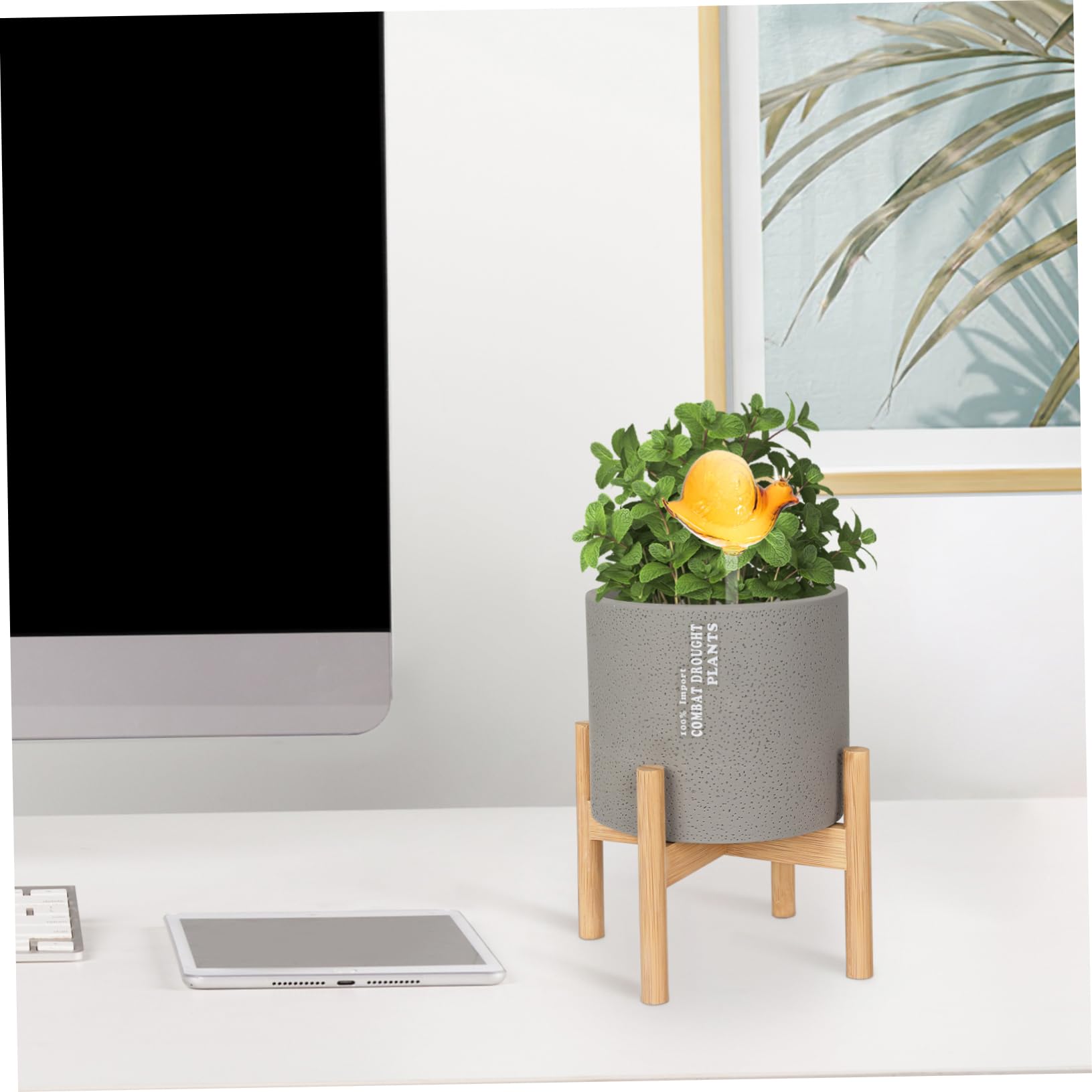 Toddmomy 3pezzi Dispositivo Irrigazione per Gocciolatore per e Auto Irrigazione per Decorativo e