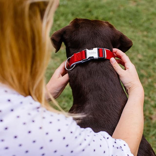 Foto 2 de 3 de 'Nobby Collar Classic preno Royal " rojo S-M (circunferencia del cuello 38-47 cm)