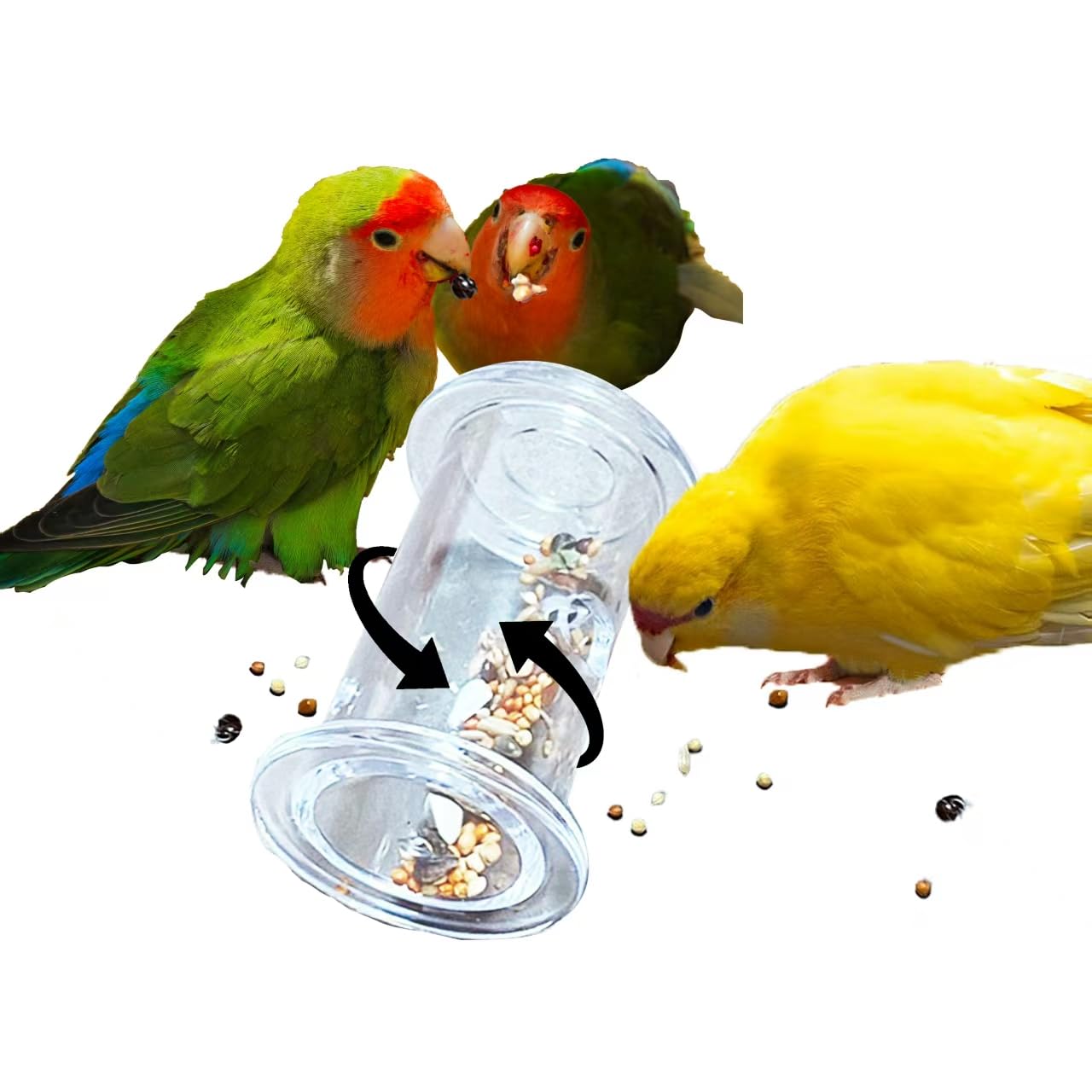 GiggleGrip Bird Foraging Toys, Interactive Parrot Puzzle Feeder for Mental Enrichment, Clear Acrylic Treat Dispenser Wheel for Small to Medium Birds, Cockatiel, Conure, Parakeet, Budgie (1 Pack)