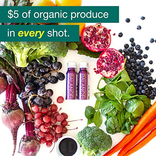 1/2 Day of Fruits & Vegetables plus Immune Support with Real Vitamin C. Organic Shots for wellness w/Sambucus Elderberry, Kids & Adults on the Go, Vegan, Gluten-Free (6 Pack) - Image 6