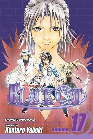 Amazon.co.jp: BLACK CAT 4 (ジャンプコミックス) : 矢吹 健太朗