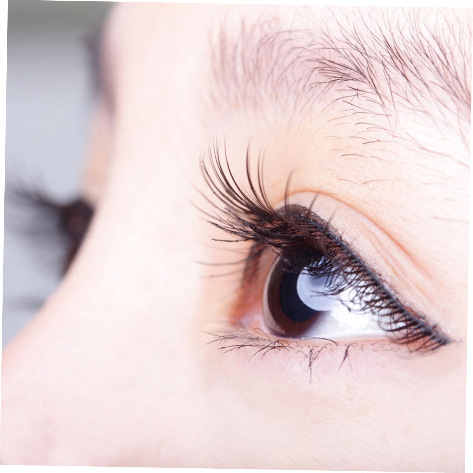 MAGICLULU 50 Paia Ciglia Inferiori Ciglia Finte ia Naturali ia Finte Inferiori ia i Striscia ia i Striscia Fibra Stelo Trasparente