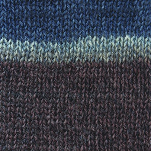 Image of Spinrite Yarns Patons Kroy Socks, 1.75 Ounce, Blue Brown