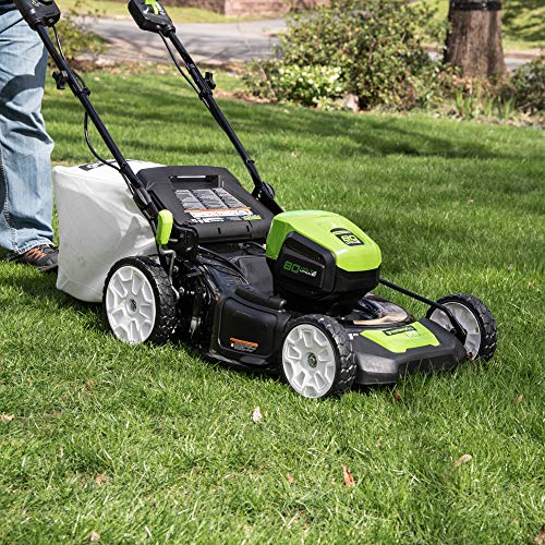 Greenworks Pro GLM801602 80-volt Cordless Battery-Powered Electric Lawn