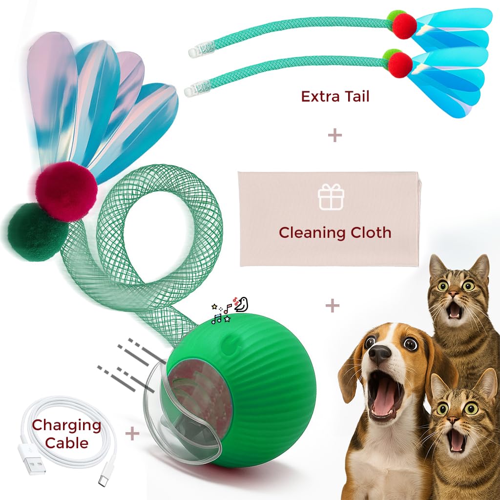 Jouets d'intérieur interactifs pour chat – Balle automatique pour chaton, chats adultes ennuyés et chiens – Jeu de poursuite automatisé – Balles à rouler automatiques intelligentes pour