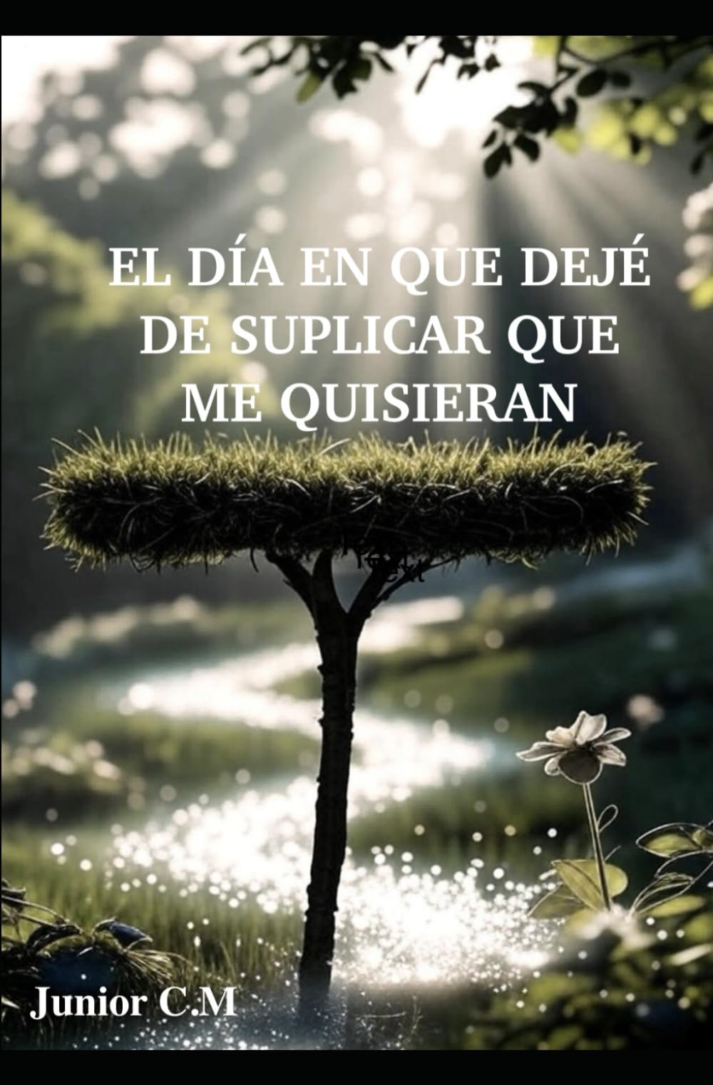 EL DÍA EN QUE DEJÉ DE SUPLICAR QUE ME QUISIERAN