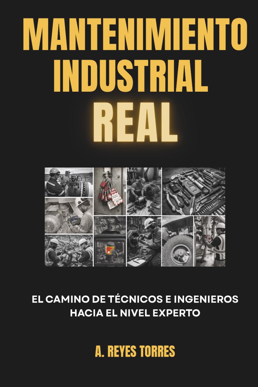 MANTENIMIENTO INDUSTRIAL REAL: El camino de técnicos e ingenieros hacia el nivel experto