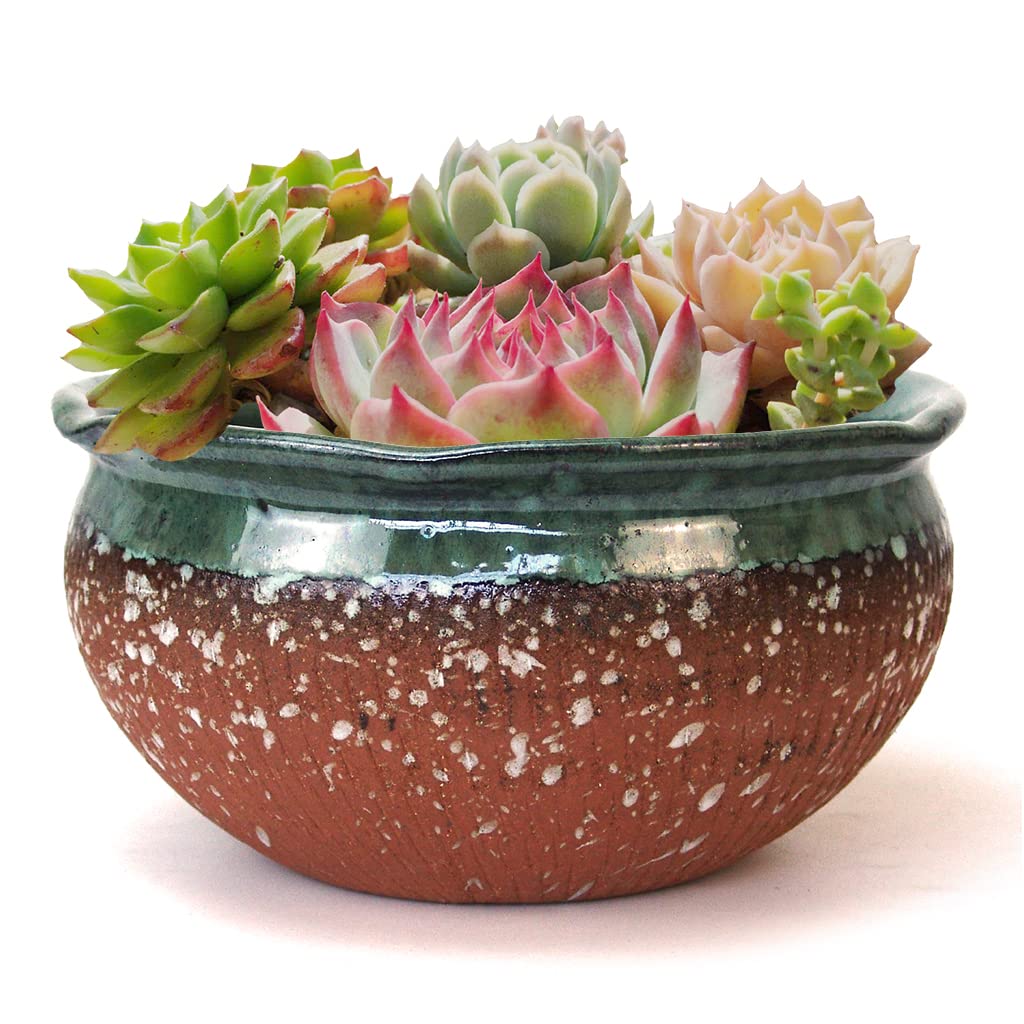 8 Inch Glazed Terracotta Plant Pot Round Ceramic Succulent Planter Pot with Drainage and Saucer Cactus Clay Pot Bonsai Pot (Dark Green Rim)
