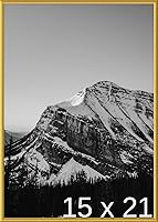 Vista 120 de Frame It Easy Marco de metal rojo de 24 x 36 pulgadas (Hanover)